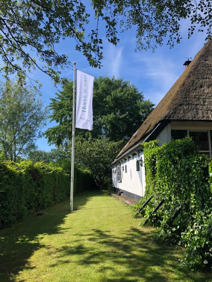 Hoeve Te Gast - Vakantieboerderij Groet Exteriér fotografie